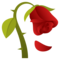 Welke Blume