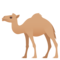 Dromedar