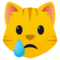Weinende Katze