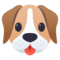 Hundegesicht