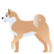 Hund