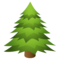 Nadelbaum