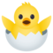 Schlüpfendes Küken