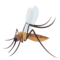 Mücke