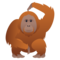 Orang-Utan