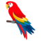 Papagei