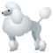 Pudel
