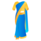Sari
