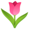 Tulpe