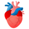 Organo Del Cuore