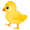 Pulcino