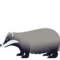 Tasso