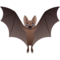 Pipistrello
