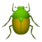 Coleottero