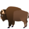 Bisonte