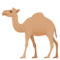 Dromedario