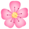 Fiore Di Ciliegio