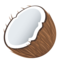 Cocco