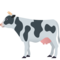 Mucca
