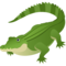 Coccodrillo