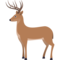 Cervo