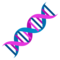 DNA