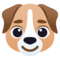 Muso Di Cane