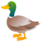 Anatra