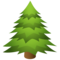 Albero Sempreverde