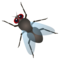 Mosca