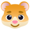 Criceto