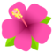 Ibisco
