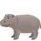 Ippopotamo
