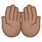 Mani Unite In Alto: Carnagione Media