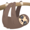 Bradipo