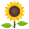 Girasole