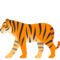 Tigre
