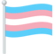 Bandiera Transgender