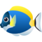 Pesce Tropicale