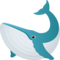 Balena