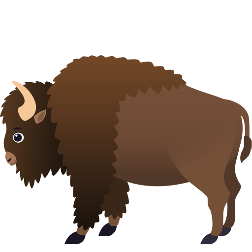 Bison