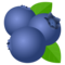 Blaubeeren
