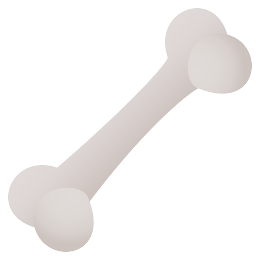 Knochen