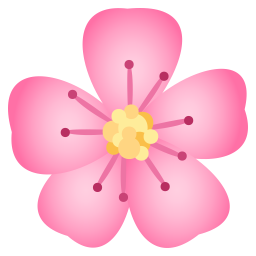 Kirschblüte