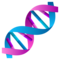 DNA
