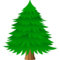 Nadelbaum