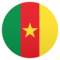 Flagge: Kamerun