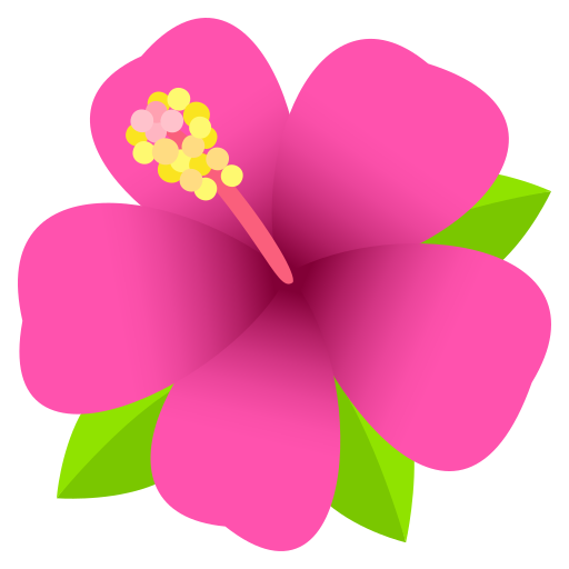 Hibiskus