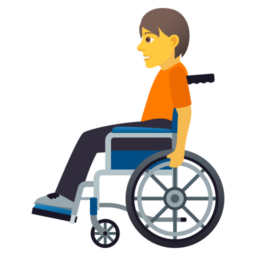 Person In Manuellem Rollstuhl