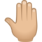 Erhobene Hand Von Hinten: Mittelhelle Hautfarbe